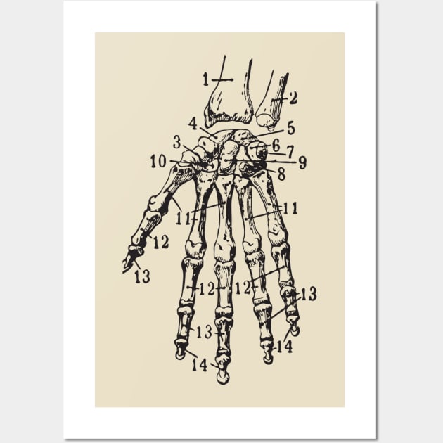 anatomy of the hand Wall Art by chapter2